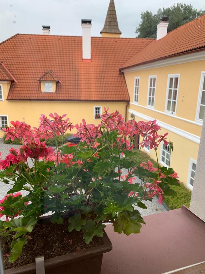 Zamek Jindrichovice Hotel Kolinec Ngoại thất bức ảnh